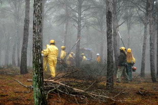 Os sindicatos denuncian outras externalizacións como en materia de prevención,  limpeza, desbroce ou recollida de madeira