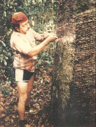 Chico Mendes, en 1975, recollendo 'lágrimas da Amazônia'